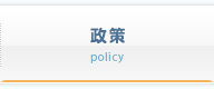 政策