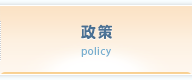 政策